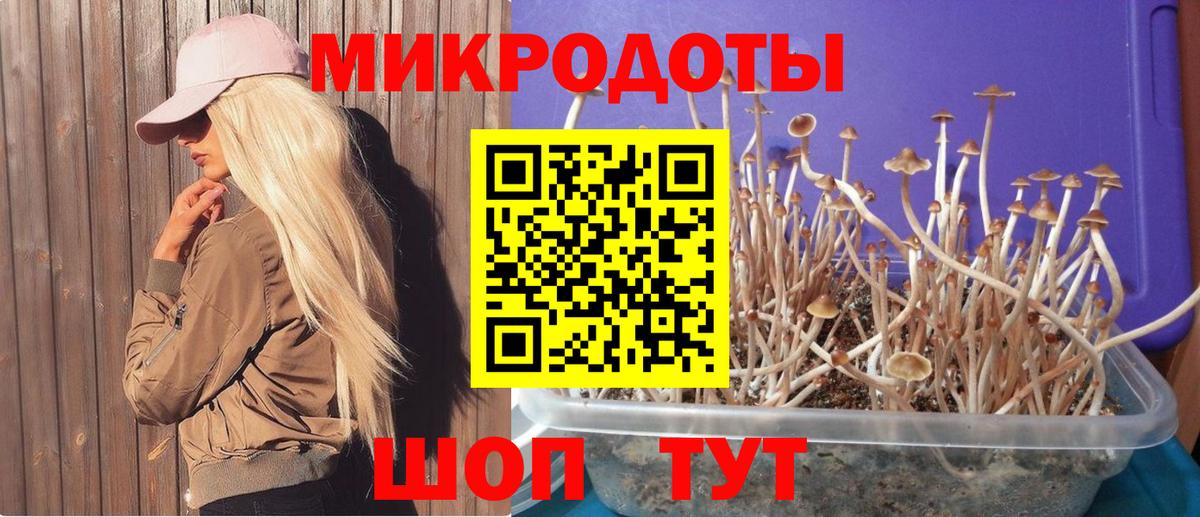 купить   Псилоцибиновые грибы GOLDEN TEACHER  Вход с VPN  Галлюциногенные грибы GOLDEN TEACHER  Красногорск 
