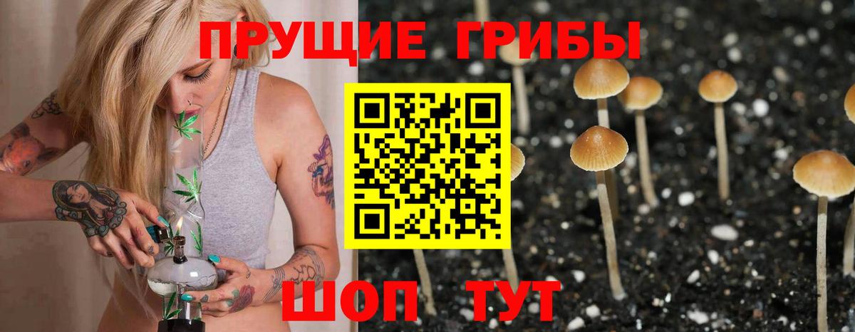 ГАШ Красногорск
